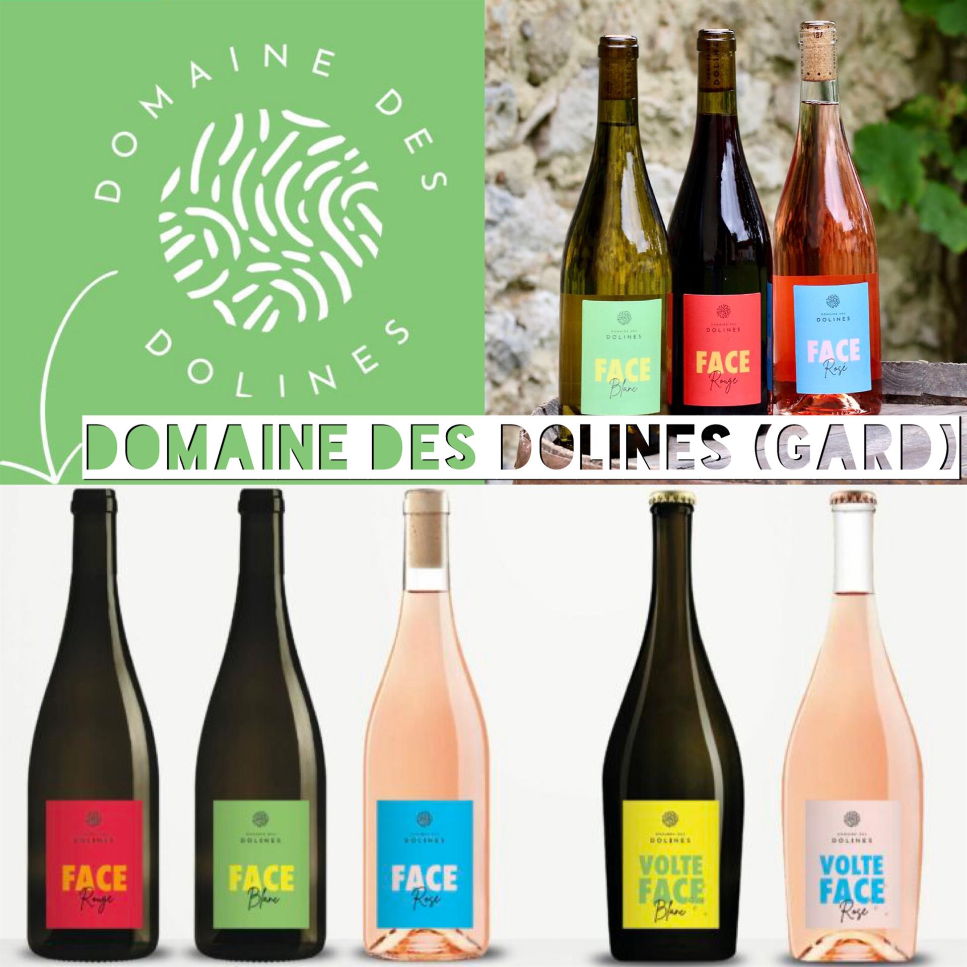 Dégustation Domaine des Dolines