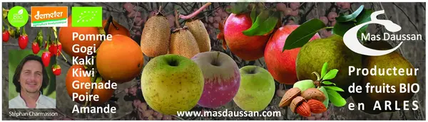 Mas Daussan