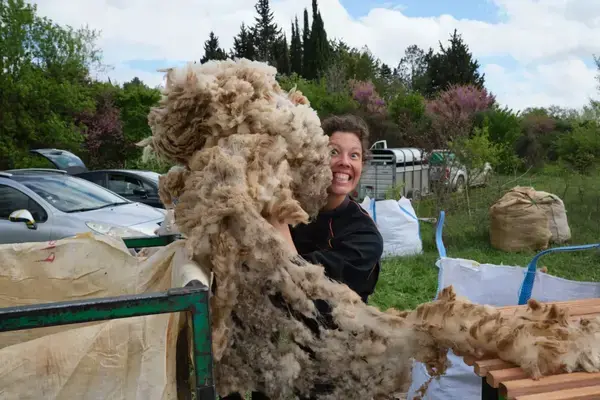 Vente de laine locale et produits en laine par Pauline et Mathieu, éleveurs-bergers à la Sainte-Victoire