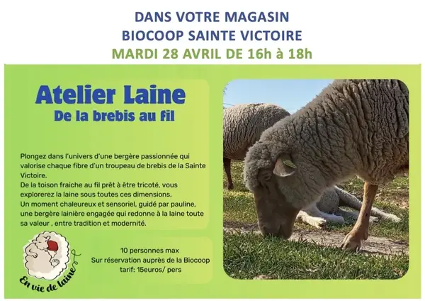 Atelier Laine : avec Pauline, bergère à la Sainte-Victoire