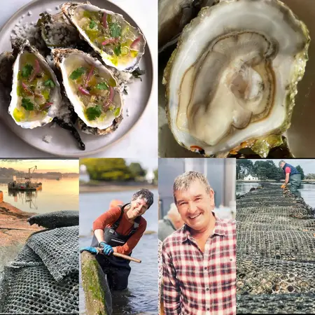 Dégustation exceptionnelle des huîtres YVON (Morbihan)