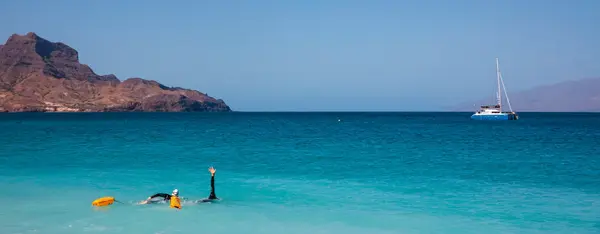 Biocoop du Lac : La montagne vibre avec l'océan